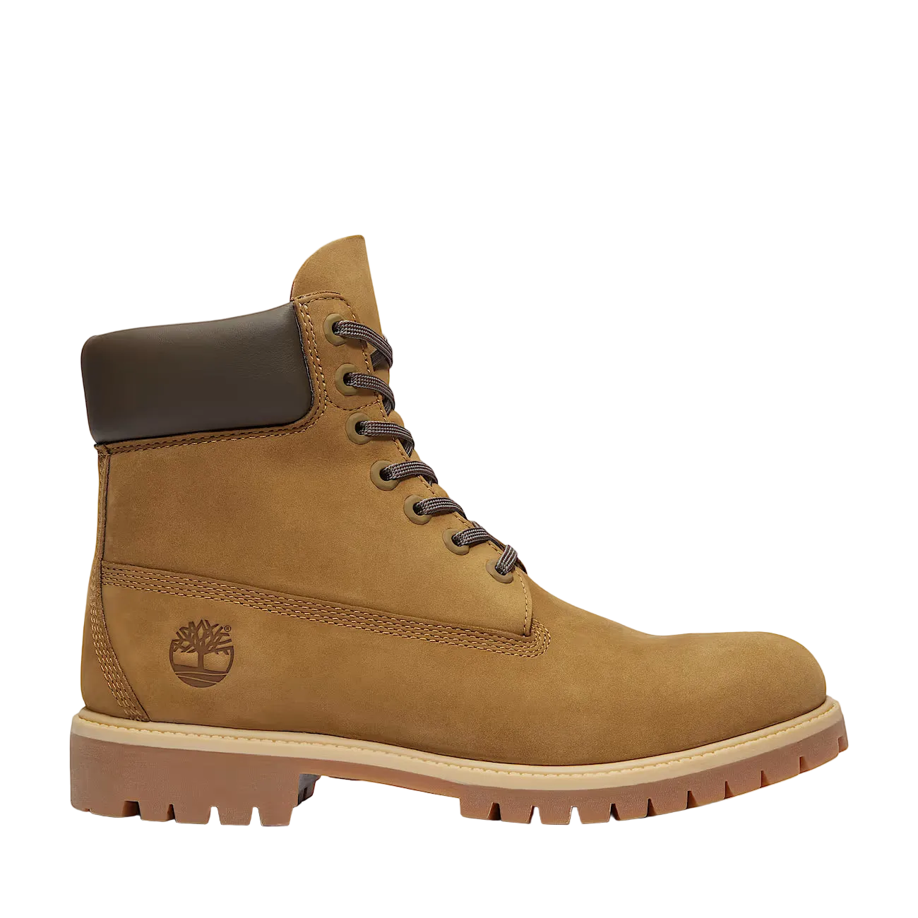 Timberland Premium 6-Inch Waterproof Boot – Olive Nubuck / Dark Brown